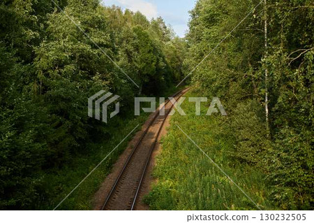 Serene Train Tracks are Beautifully Surrounded by Lush Green Forest and Natures Splendor Serene Train Tracks are Beautifully Surrounded by Lush Green Forest and Natures Splendor 130232505