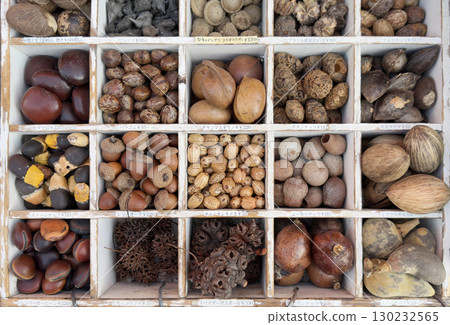 Nut box craft materials 130232565