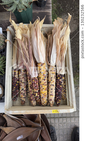 Nut box craft materials 130232566