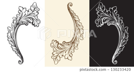 Acanthus leaf twisted retro design element vector illustration 130233420