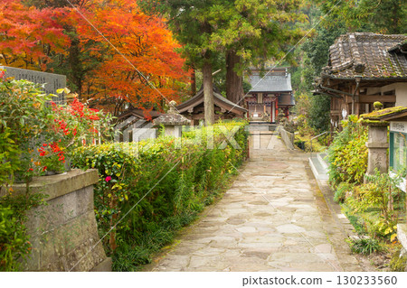 Autumn leaves at Yufuin Unagihimejinsha Shrine Autumn leaves at Yufuin Unagihimejinsha Shrine 130233560