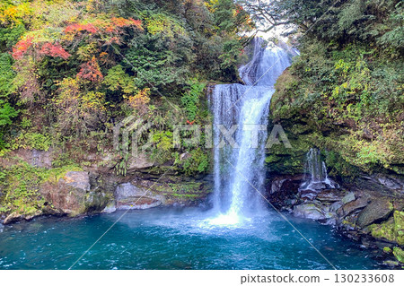 Fall of charity of autumn Fall of charity of autumn 130233608