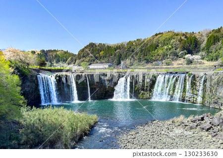 原尻瀑布和櫻花 130233630