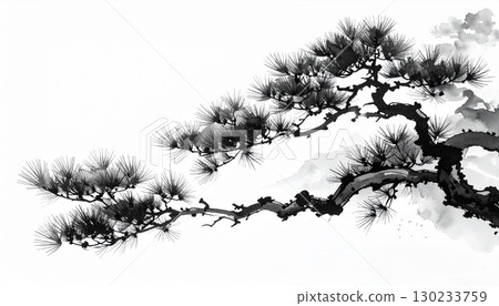 Traditional Japanese ink painting, pine branch, sumi-e style illustration 130233759