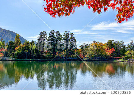 Yufuin金標度湖秋葉 130233826