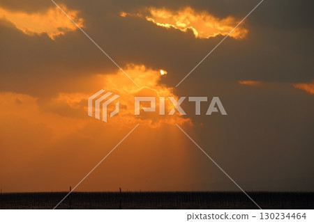 Omuta City, Ariake Sea, Nori field, New Year's Eve dusk, Omuta City, Ariake Sea, Nori field, New Year's Eve dusk, 130234464