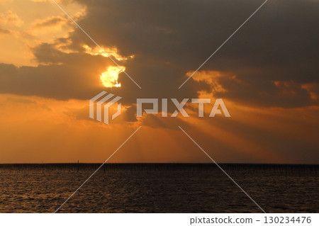 Omuta City, Ariake Sea, Nori field, New Year's Eve dusk, 130234476