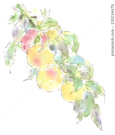 夏季植物、小桃子、開花桃樹的水彩插圖 夏季植物、小桃子、開花桃樹的水彩插圖 130234479