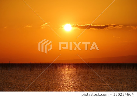 大牟田市、有明海、海苔田、元旦黃昏、 130234664