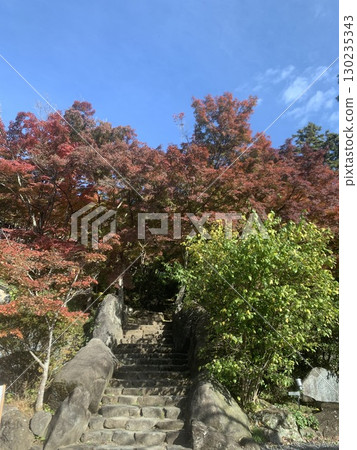 秋葉和藍天裝飾著石階 130235343