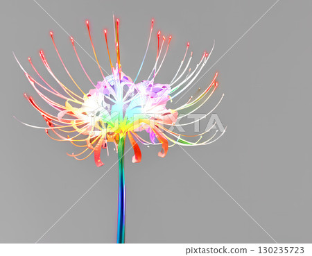 Rainbow-colored red spider lilies Rainbow-colored red spider lilies 130235723