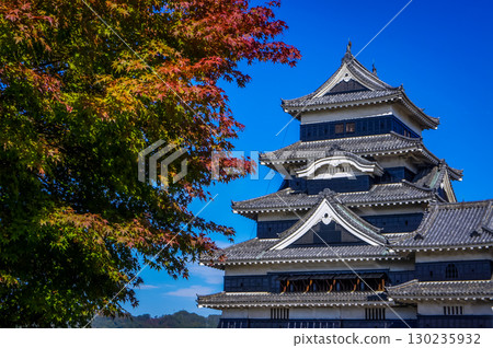 Autumn leaves at Matsumoto Castle, a national treasure Autumn leaves at Matsumoto Castle, a national treasure 130235932