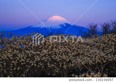 早晨的富士與三俁 130236097