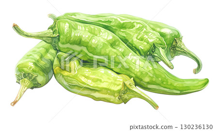 Watercolor illustration of sweet pepper on transparent background (png) 130236130