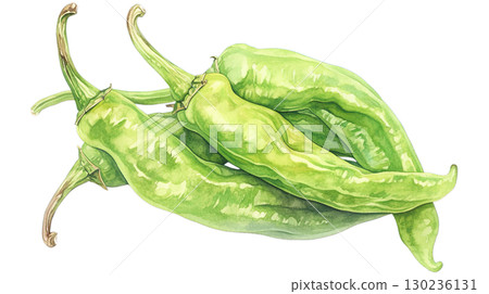 Watercolor illustration of sweet pepper on transparent background (png) 130236131