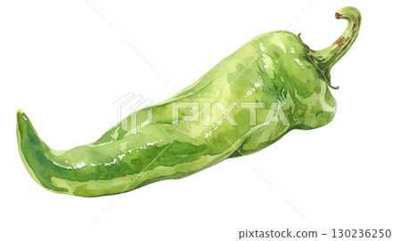 Watercolor illustration of sweet pepper on transparent background (png) 130236250