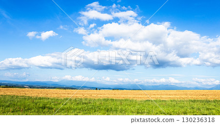 A simple landscape of blue sky, clouds and the land of Hokkaido 130236318