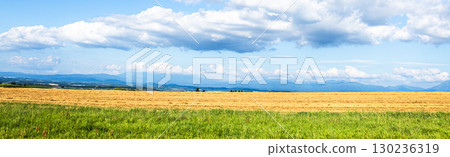 A simple landscape of blue sky, clouds and the land of Hokkaido A simple landscape of blue sky, clouds and the land of Hokkaido 130236319