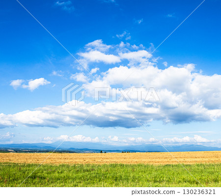 A simple landscape of blue sky, clouds and the land of Hokkaido 130236321