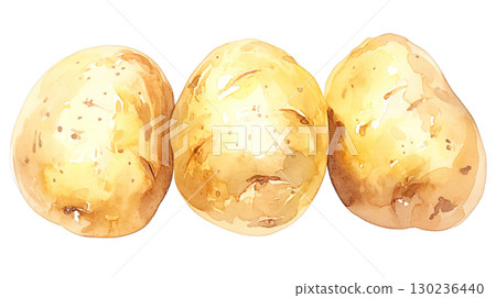 透明背景上的馬鈴薯水彩插圖（png） 130236440
