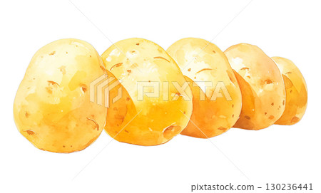 透明背景上的馬鈴薯水彩插圖（png） 130236441
