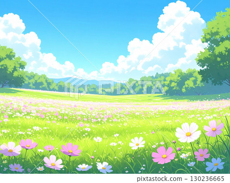 波斯菊草原藍天 130236665
