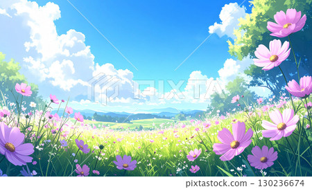 波斯菊草原藍天 130236674