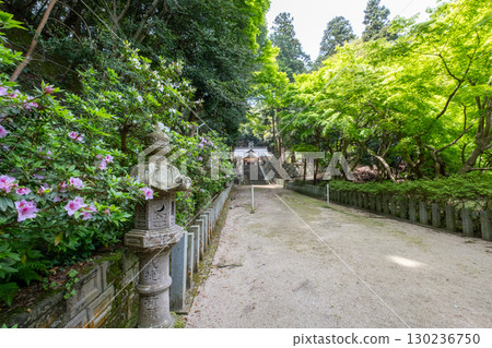 鳥取縣米子市宗像市宗像神社參道 130236750
