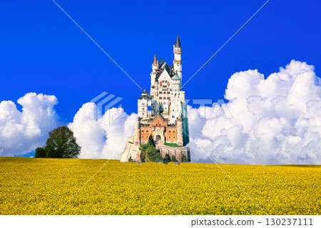 A composite of rapeseed flower field and Neuschwanstein Castle A composite of rapeseed flower field and Neuschwanstein Castle 130237111