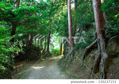 Kannonshoji Temple, 32nd temple of the 33 Saigoku Kannon Pilgrimage Kannonshoji Temple, 32nd temple of the 33 Saigoku Kannon Pilgrimage 130237153