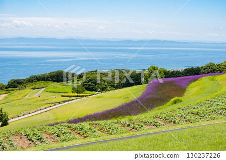 從兵庫縣淡路島淡路花路眺望的景色 130237226