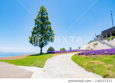 從兵庫縣淡路島淡路花路眺望的景色 130237231