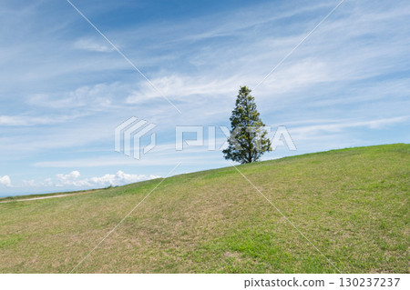 View from Awaji Hanasajiki on Awaji Island, Hyogo Prefecture View from Awaji Hanasajiki on Awaji Island, Hyogo Prefecture 130237237