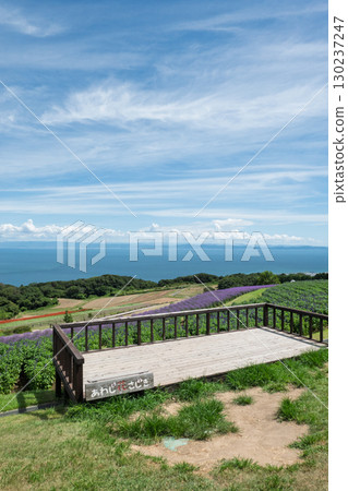 View from Awaji Hanasajiki on Awaji Island, Hyogo Prefecture View from Awaji Hanasajiki on Awaji Island, Hyogo Prefecture 130237247
