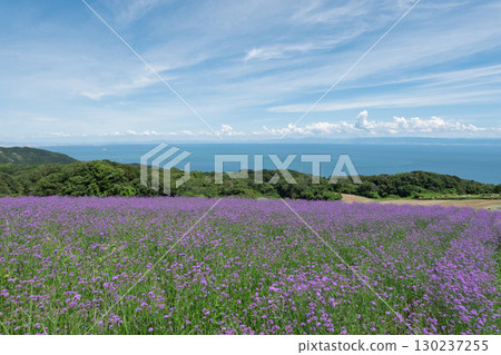 從兵庫縣淡路島淡路花路眺望的景色 130237255