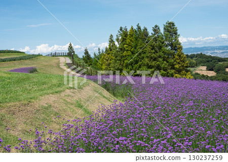 View from Awaji Hanasajiki on Awaji Island, Hyogo Prefecture View from Awaji Hanasajiki on Awaji Island, Hyogo Prefecture 130237259