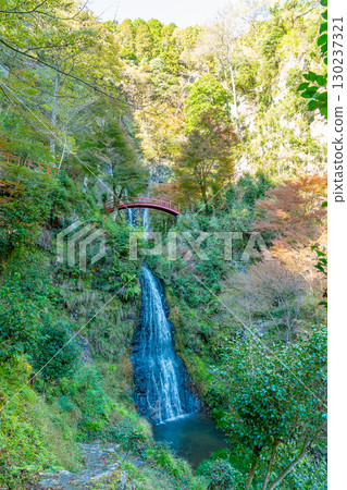 秋天的御峰瀑布，據說是岐阜縣八百津町的傳奇劍客宮本武藏修行的地方 130237321