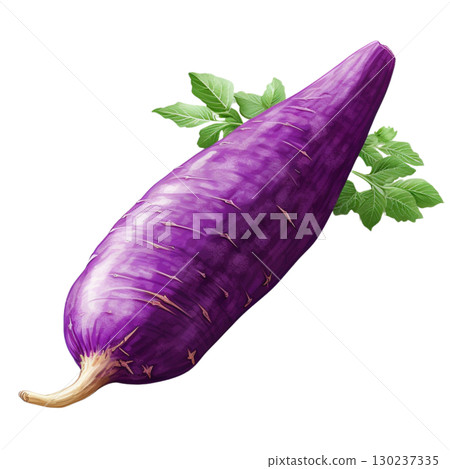 sweet potato 130237335