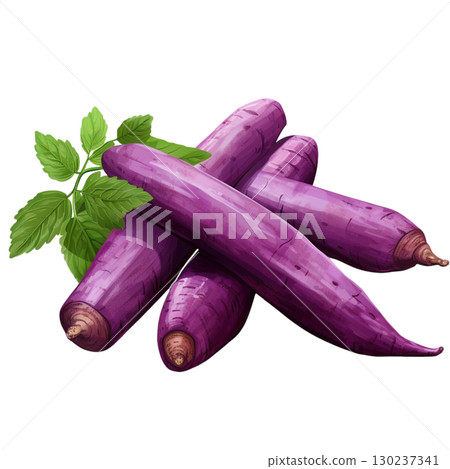 sweet potato 130237341