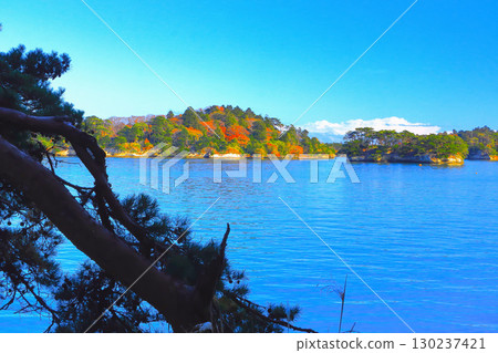View of Matsushima Bay's islands with autumn foliage from Matsushima and Oshima 130237421