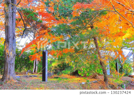 Vibrant autumn foliage at the ruins of Oshima Shoginan in Matsushima 130237424