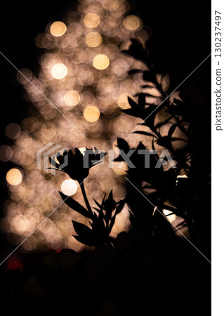 東京惠比壽花園廣場的夜景 130237497