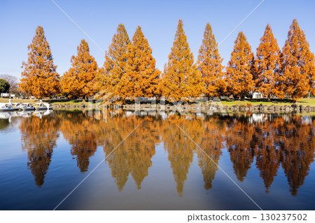 Scenery of Hanasaki Water Park in Saitama Prefecture 130237502