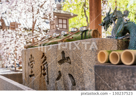 Chozuya and cherry blossoms at Rokkakudo Chohoji Temple, Kyoto, Japan 130237523