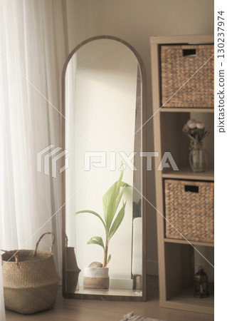Decorative mirror reflecting green plant in cozy room 130237974