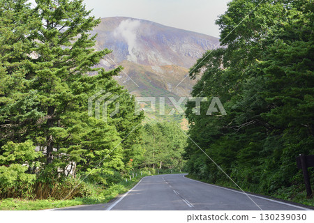 Bandai Azuma Skyline 130239030