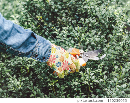 Cute woman, work clothes and hand pruner 130239053