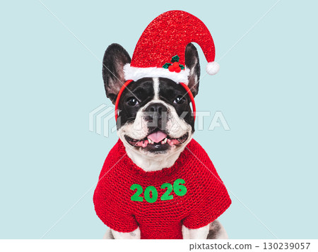 Merry Christmas and Happy New Year. Cute puppy Merry Christmas and Happy New Year. Cute puppy 130239057