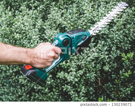 Attractive man, work clothes and hedge trimmer 130239071