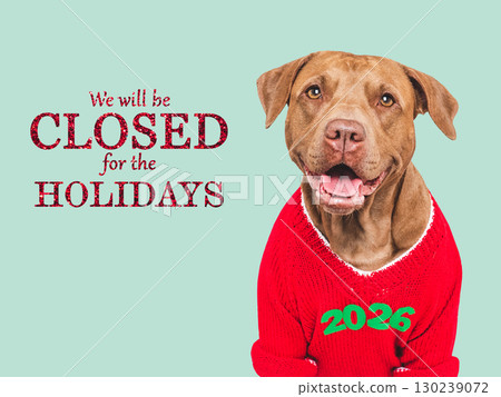We will be closed for the Holidays. Cute dog and Santa hat We will be closed for the Holidays. Cute dog and Santa hat 130239072